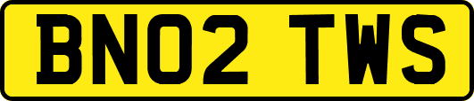 BN02TWS