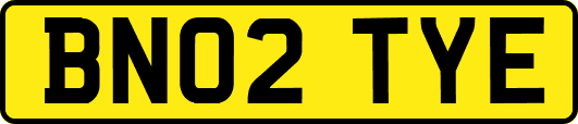 BN02TYE