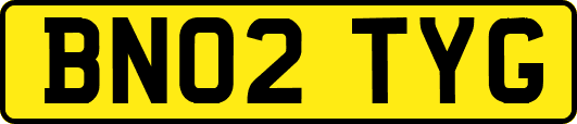 BN02TYG