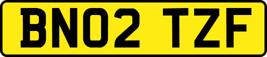 BN02TZF