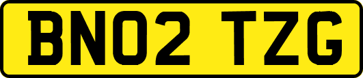BN02TZG