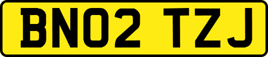 BN02TZJ