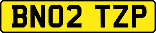 BN02TZP