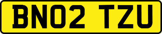 BN02TZU