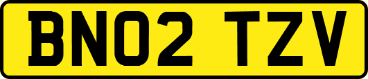 BN02TZV