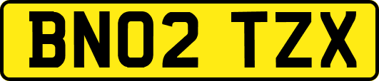 BN02TZX