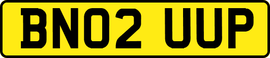 BN02UUP