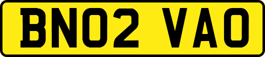 BN02VAO