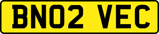 BN02VEC