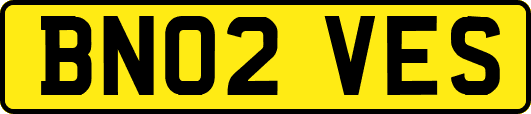 BN02VES