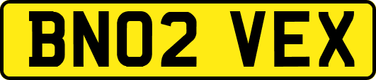 BN02VEX