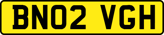 BN02VGH