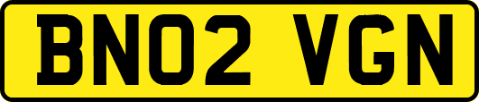 BN02VGN