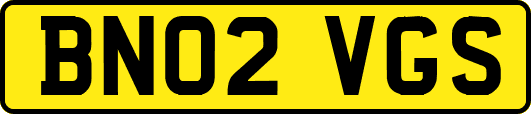 BN02VGS