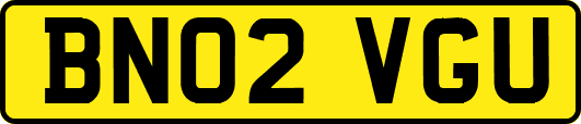 BN02VGU