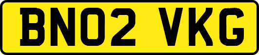 BN02VKG