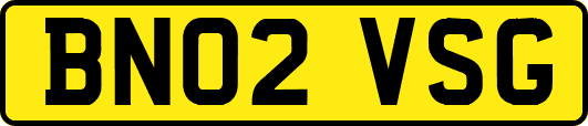 BN02VSG