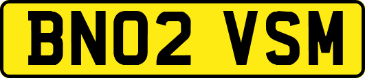 BN02VSM