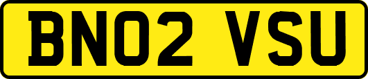 BN02VSU