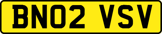 BN02VSV