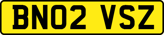 BN02VSZ