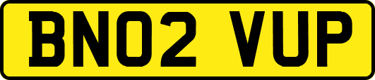 BN02VUP