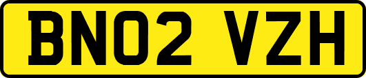 BN02VZH