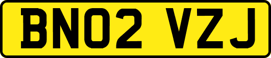 BN02VZJ