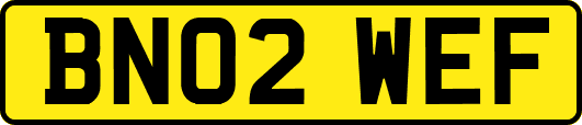 BN02WEF
