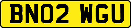 BN02WGU