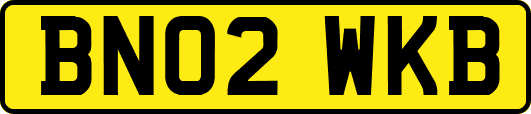 BN02WKB
