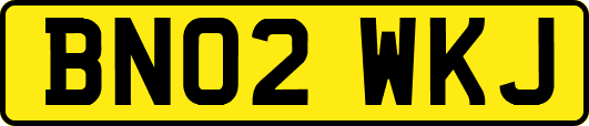 BN02WKJ