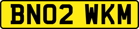 BN02WKM
