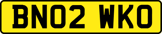 BN02WKO