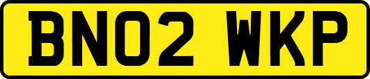 BN02WKP