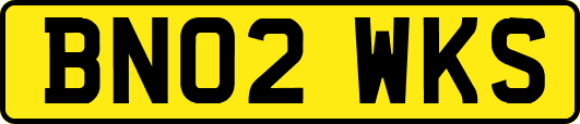 BN02WKS