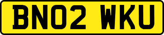 BN02WKU