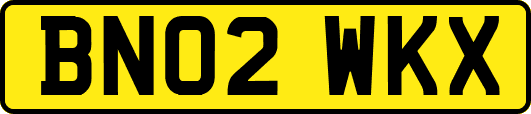 BN02WKX