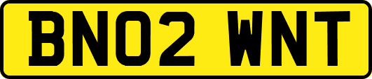 BN02WNT