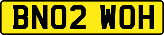 BN02WOH