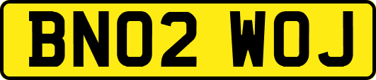 BN02WOJ