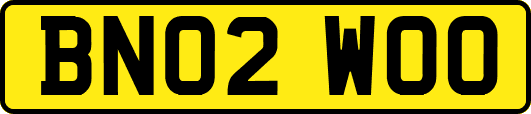 BN02WOO