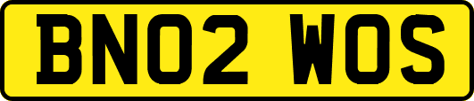 BN02WOS