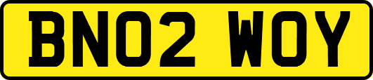 BN02WOY