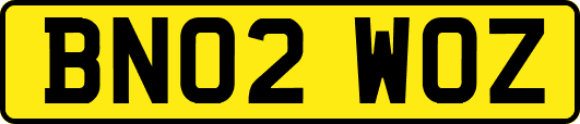 BN02WOZ
