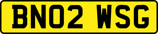 BN02WSG