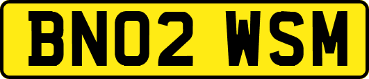 BN02WSM