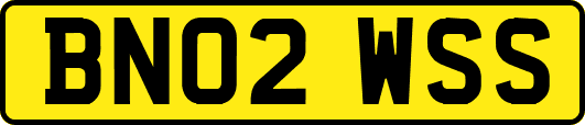 BN02WSS