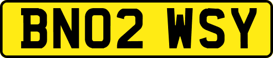 BN02WSY
