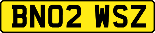 BN02WSZ